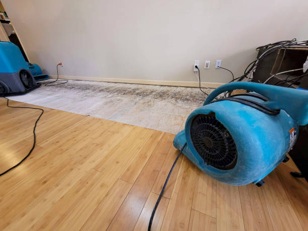 Professional Burst Pipe Water Damage technician working in Hemlock, MI